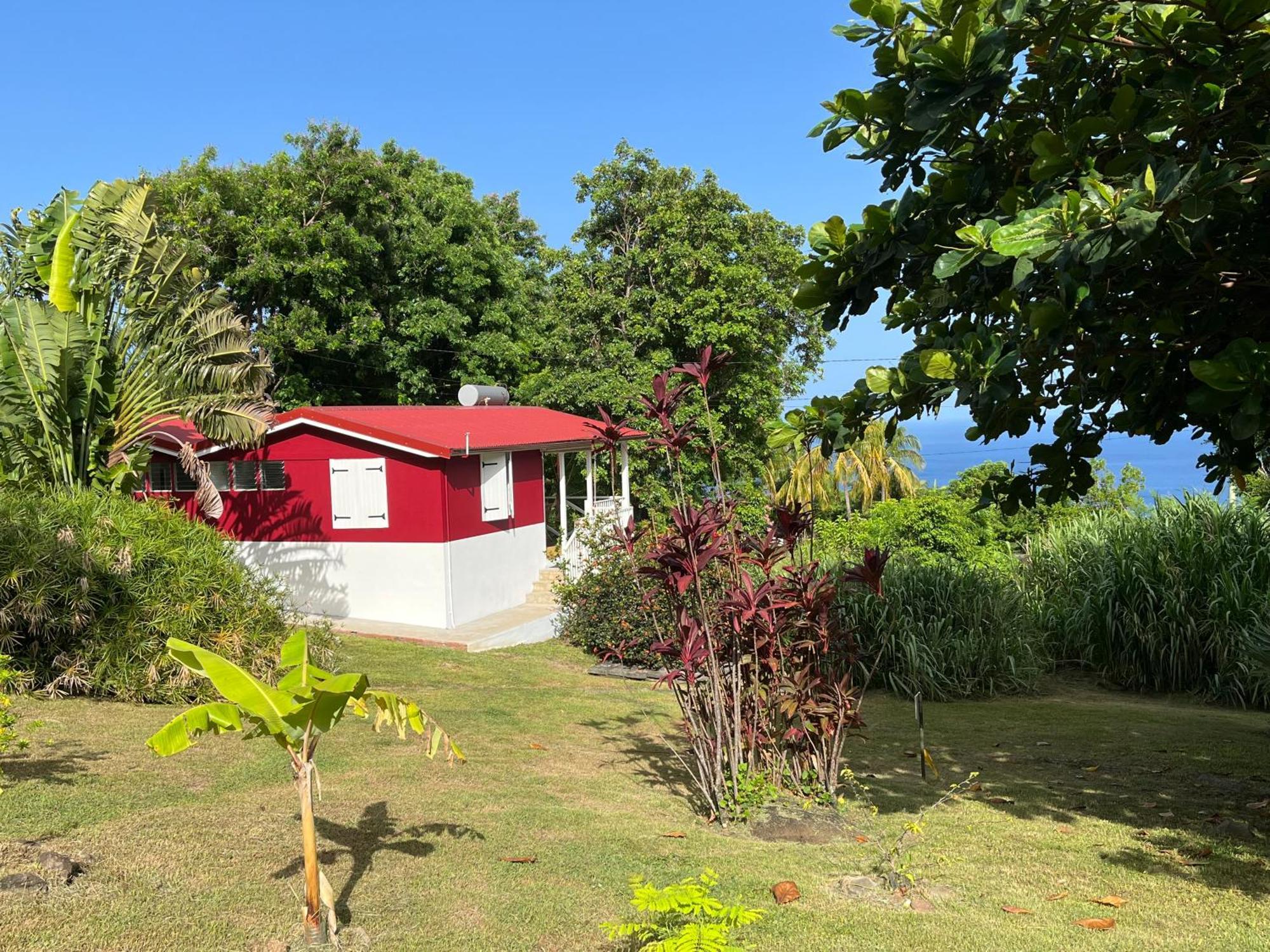 Grand Bungalow Avec Piscine Et Vue Mer Bouillante Exteriör bild